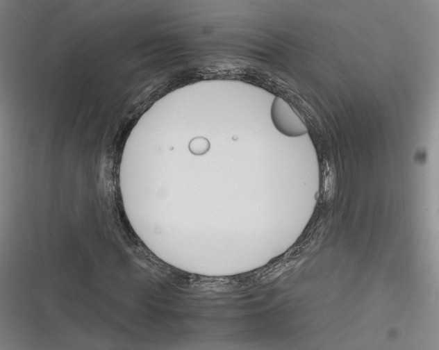 X0000116260819201001110951