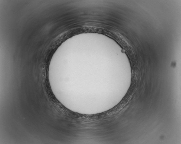 X0000116260821201001110951