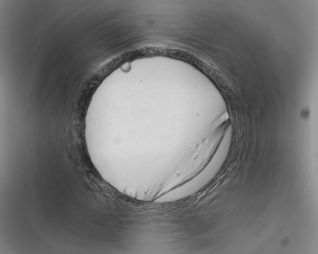 X0000116260822201001110951
