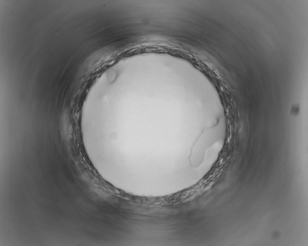 X0000116260824201001110951