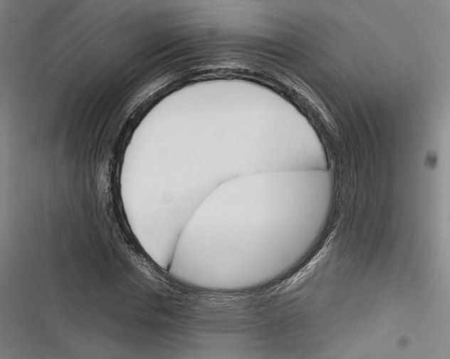 X0000116260826201001110951