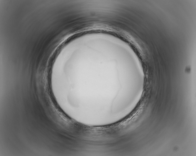 X0000116260828201001110951