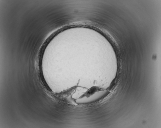 X0000116260830201001110951