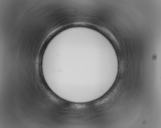 X0000116260831201001110952