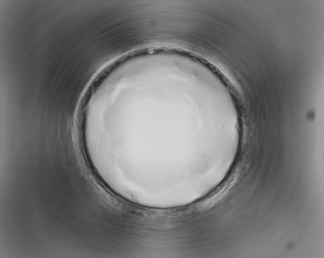 X0000116260832201001110952