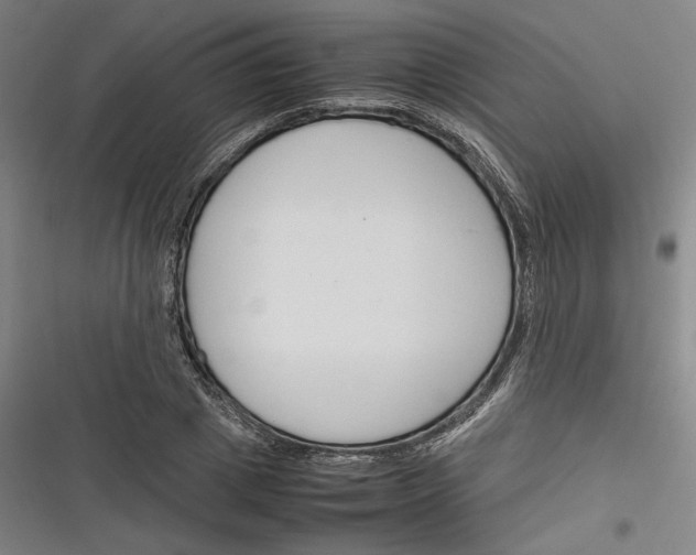 X0000116260833201001110952