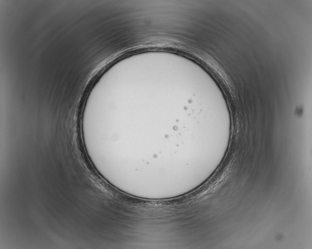 X0000116260834201001110952