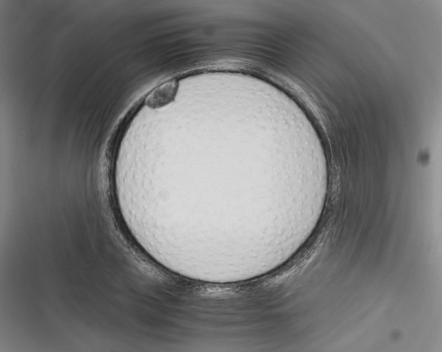 X0000116260835201001110952