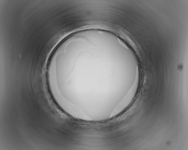 X0000116260836201001110952