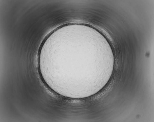 X0000116260839201001110952