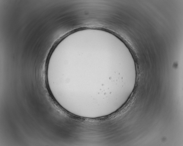 X0000116260840201001110952
