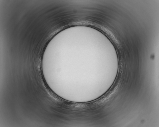 X0000116260841201001110952