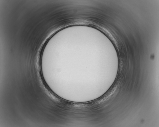 X0000116260843201001110952