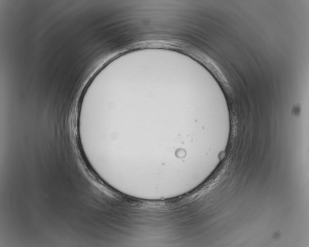 X0000116260844201001110952