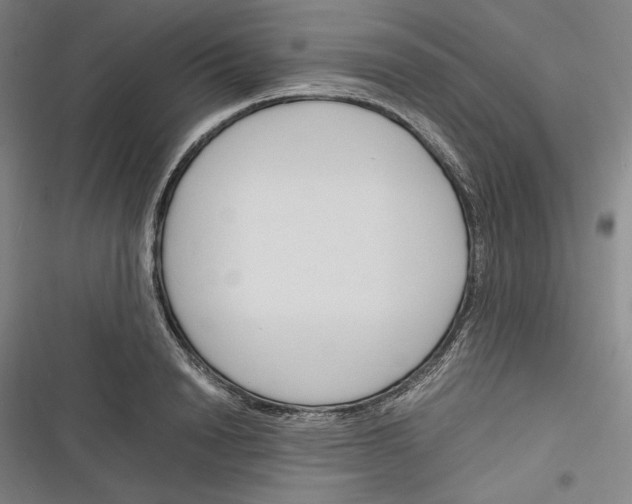 X0000116260846201001110952