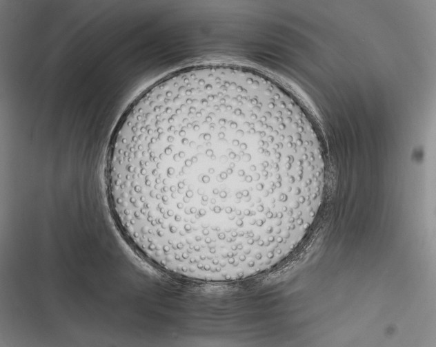 X0000116260847201001110952
