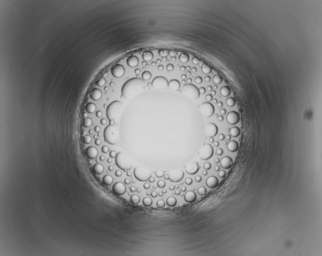 X0000116260848201001110952
