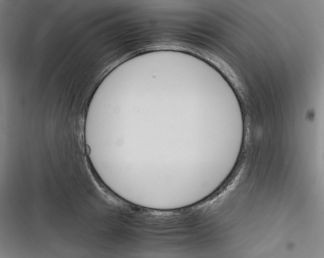 X0000116260849201001110952