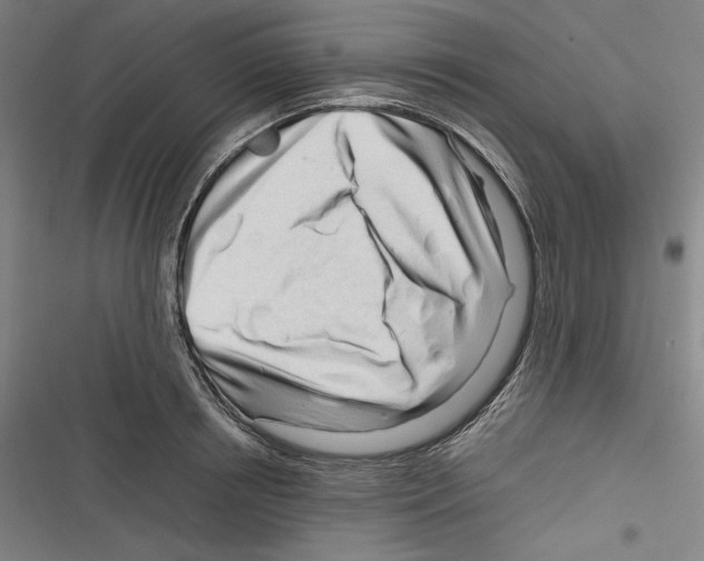 X0000116260850201001110952