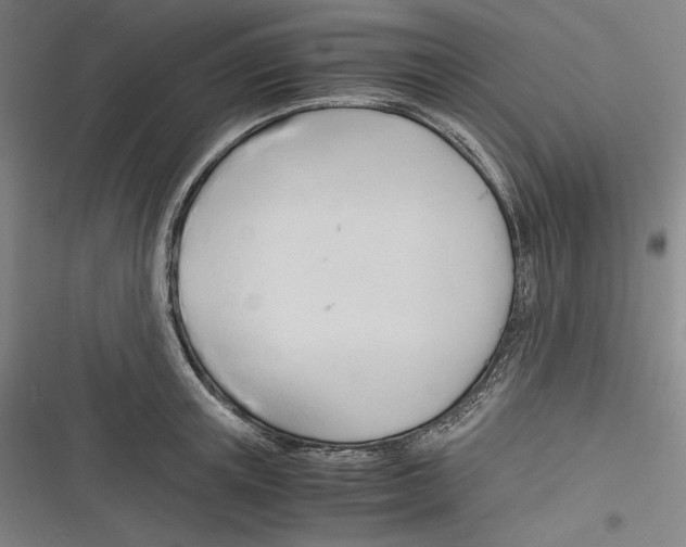 X0000116260851201001110952