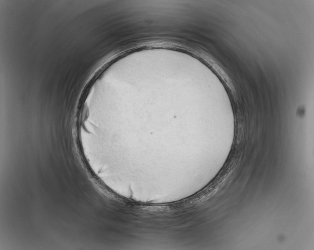 X0000116260853201001110952