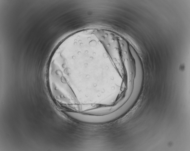 X0000116260854201001110952