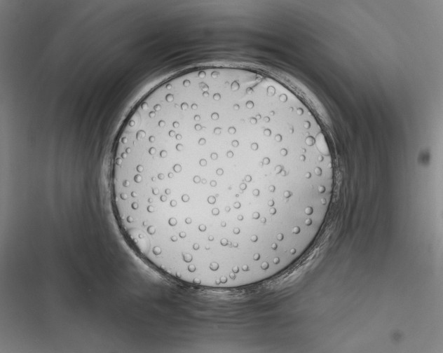 X0000116260855201001110952