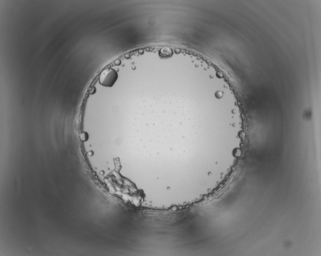 X0000116260856201001110952