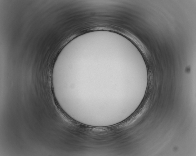 X0000116260857201001110952