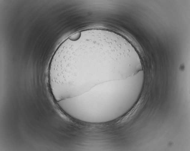 X0000116260858201001110952