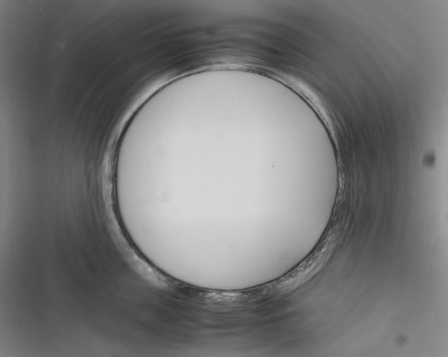 X0000116260859201001110952
