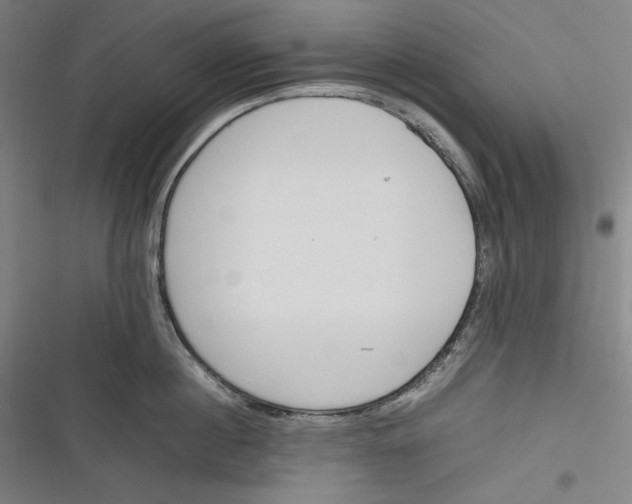 X0000116260860201001110952