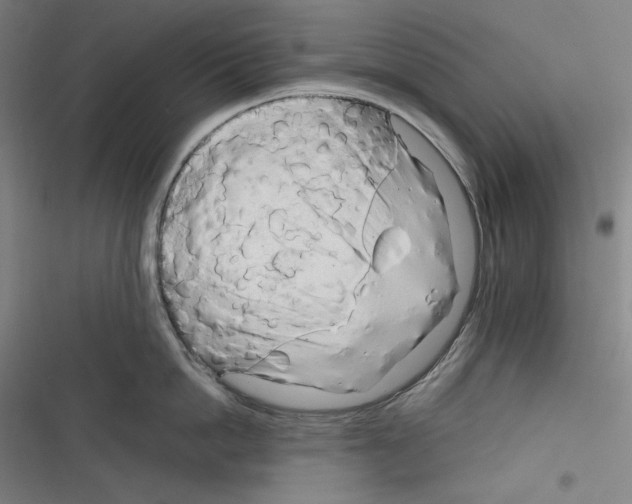 X0000116260862201001110952