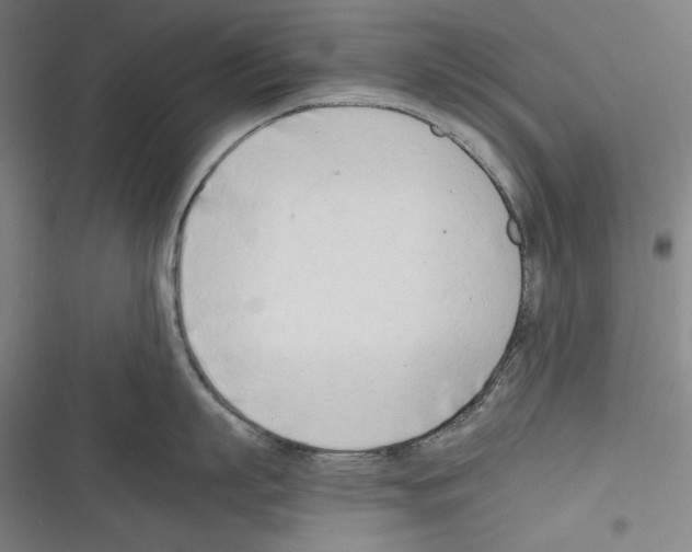 X0000116260863201001110952