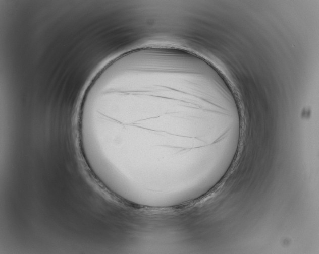 X0000116260864201001110952