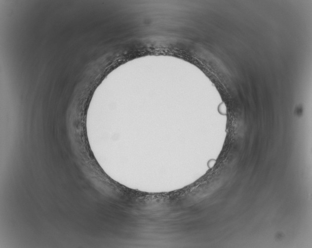 X0000116260865201001110951