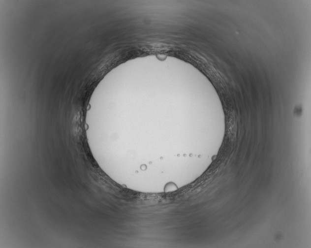 X0000116260866201001110951