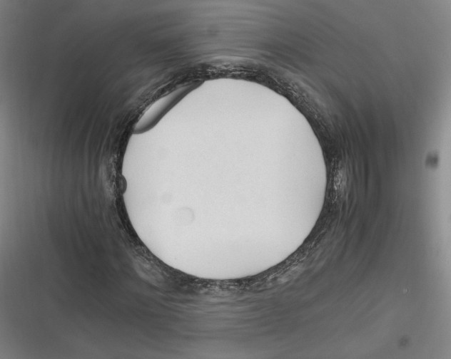 X0000116260868201001110951