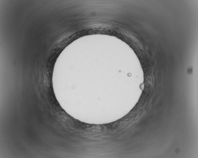 X0000116260869201001110951