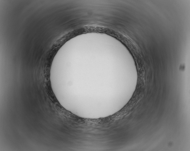 X0000116260870201001110951