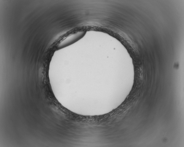 X0000116260872201001110951