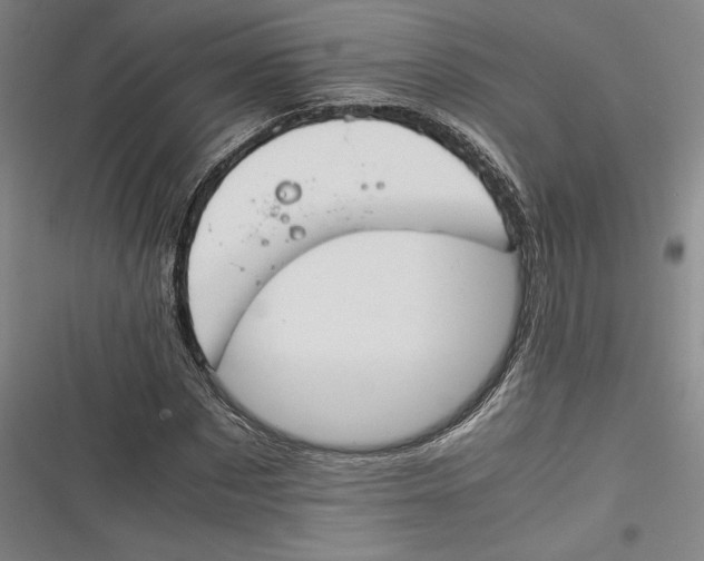 X0000116260873201001110951