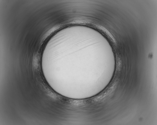 X0000116260874201001110951