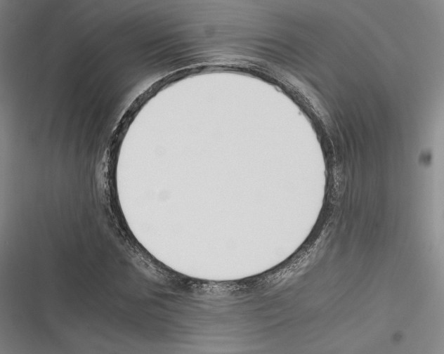 X0000116260875201001110951