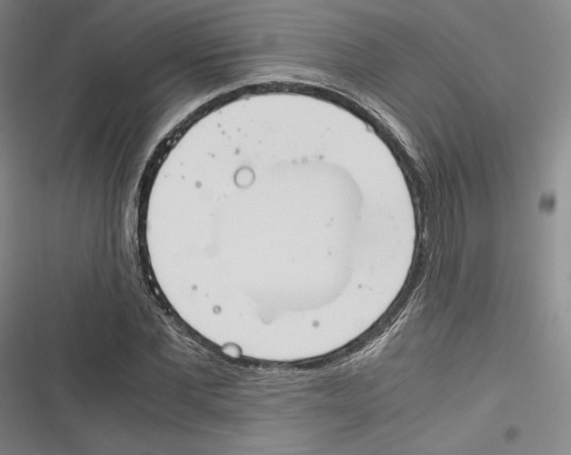 X0000116260877201001110951