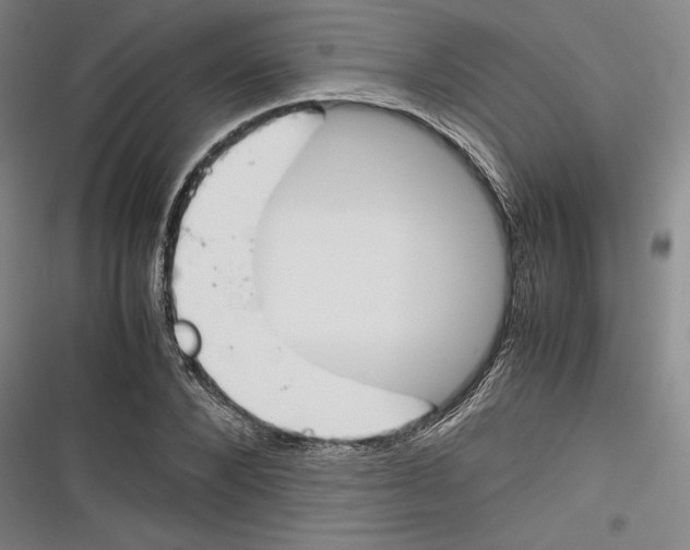 X0000116260880201001110951