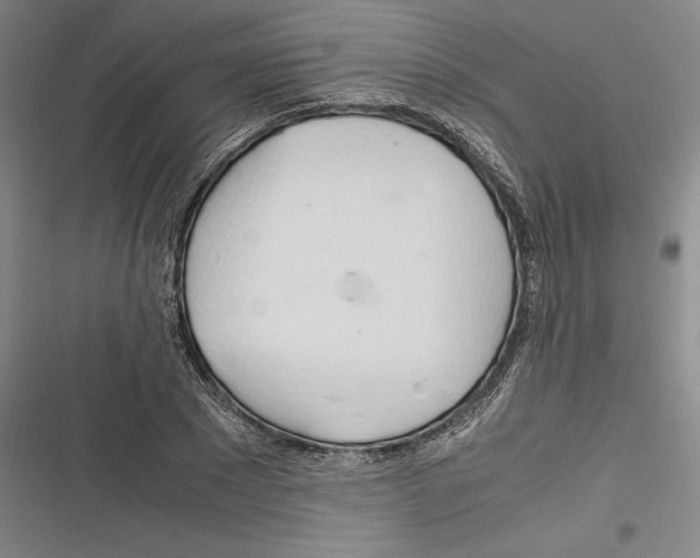 X0000116260881201001110951
