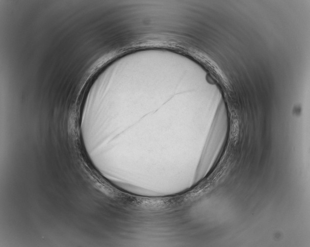 X0000116260882201001110951