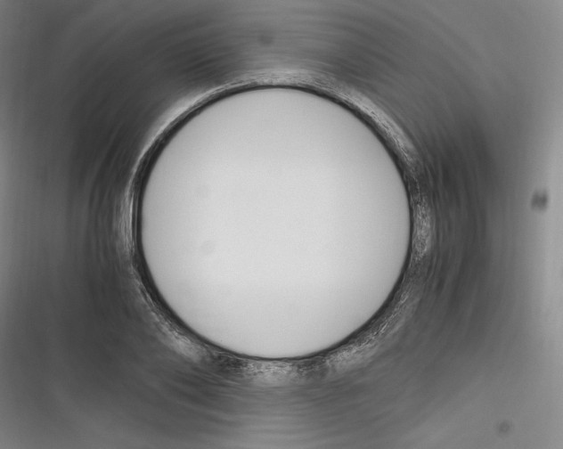 X0000116260886201001110951