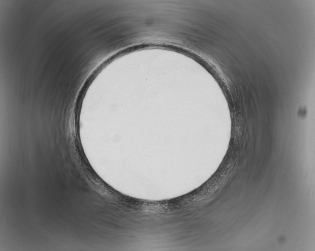 X0000116260887201001110951